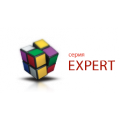 Expert Expert